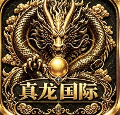 真龙国际